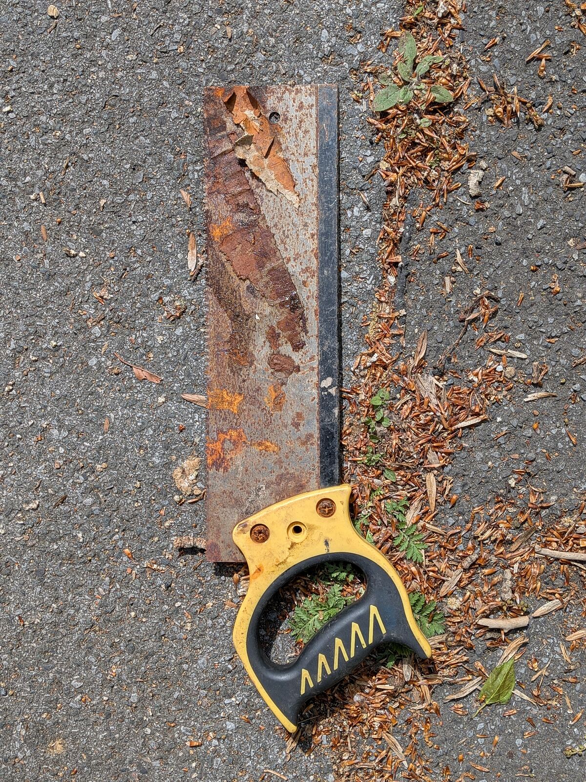 G DATA Stadtputz 2026 Fund Säge